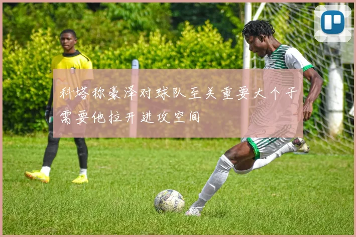 科塔称豪泽对球队至关重要大个子需要他拉开进攻空间