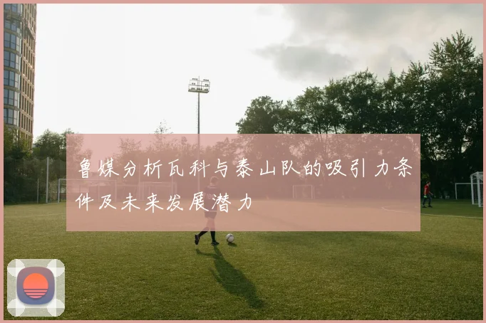 鲁媒分析瓦科与泰山队的吸引力条件及未来发展潜力
