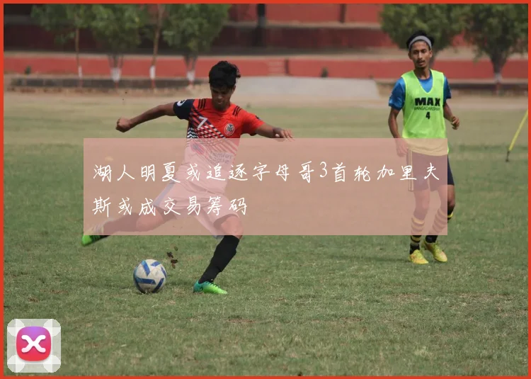 湖人明夏或追逐字母哥3首轮加里夫斯或成交易筹码